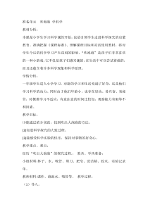 【大象版】一年级上册科学-准备单元《吹泡泡 学科学》教案5