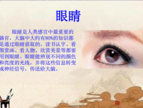 【大象版】一年级上册科学-1.1《“五官”兄弟》PPT课件5（共25页）