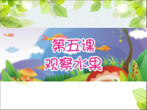 【大象版】一年级上册科学-1.2《观察水果》PPT课件4(共11页)