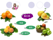 【大象版】一年级上册科学-1.2《观察水果》PPT课件5