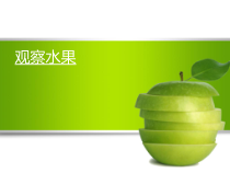 【大象版】一年级上册科学-1.2《观察水果》PPT课件6（共19页）