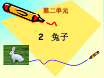 【大象版】一年级上册科学-2.1《兔子》PPT课件5