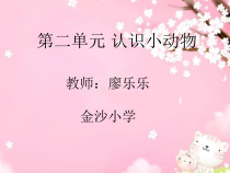 【大象版】一年级上册科学-2.1《兔子》PPT课件4（共20页）