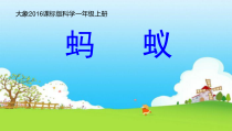 【大象版】一年级上册科学-2.3《蚂蚁》PPT课件4（共20页）
