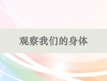 【大象版】一年级上册科学1.1《“五官”兄弟》PPT课件（共12页）