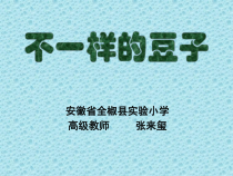 【大象版】一年级上册科学1.3《不一样的豆子》（课件+素材）
