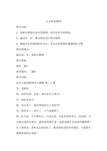 【大象版】科学一年级下册-2.1《认识常见植物》教学设计4