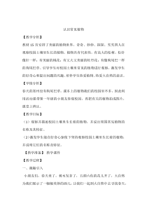 【大象版】科学一年级下册-2.1《认识常见植物》教学设计5