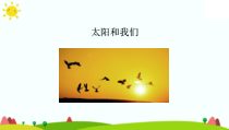 【大象版】科学一年级下册-3.1《太阳和我们》PPT课件