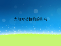 【大象版】科学一年级下册-3.2《太阳对动植物的影响》PPT课件1