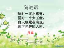 【大象版】科学一年级下册-3.3《多变的月亮》PPT课件（共39 页）