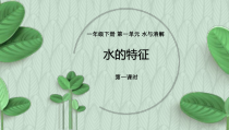 【大象版】科学一年级下册-1.1《水的特征》优质课PPT课件