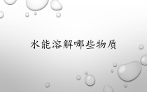 【大象版】科学一年级下册-1.3《水能溶解哪些物质》优质课PPT课件2