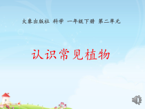 【大象版】科学一年级下册-2.1《认识常见植物》PPT课件（共23页）