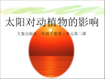 【大象版】科学一年级下册-3.2《太阳对动植物的影响》PPT课件（共15页）