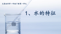 【大象版】科学一年级下册-1.1《水的特征》PPT课件（共14页）