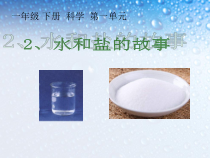 【大象版】科学一年级下册-1.2《水和盐的故事》PPT课件（共15页）