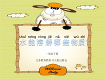 【大象版】科学一年级下册-1.3《水能溶解哪些物质》PPT课件（共14页）