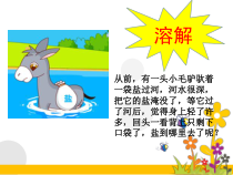 【大象版】科学一年级下册-1.3《水能溶解哪些物质》PPT课件（共11页）