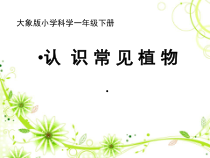 【大象版】科学一年级下册-2.1《认识常见植物》PPT课件（共21页）