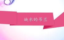 【大象版】科学一年级下册-2.2《缺水的吊兰》PPT课件（共17页）