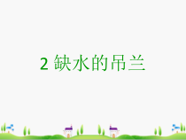 【大象版】科学一年级下册-2.2《缺水的吊兰》PPT课件（共21页）