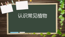 【大象版】科学一年级下册-2.1《认识常见植物》PPT课件（共9页）