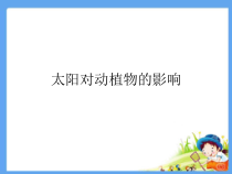 【大象版】科学一年级下册-3.2《太阳对动植物的影响》PPT课件（共37页）