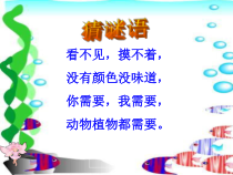 【大象版】科学一年级下册-4.2《找空气》PPT课件（共13页）