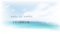 【2020新大象版】三年级下册科学3《不一样的土壤》ppt课件