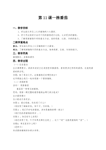 2020新粤教版三年级下册科学第11课《一株番茄》教案