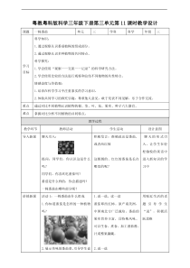 粤教粤科版小学科学三下第三单元第11课时《一株番茄》教案