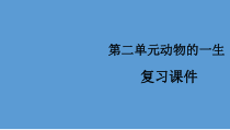 【2020新苏教版】小学科学三年级下册第2单元《动物的一生复习》ppt课件