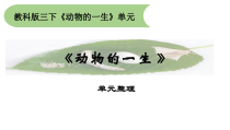 【2020新苏教版】小学科学三年级下册动物的一生单元复习ppt课件