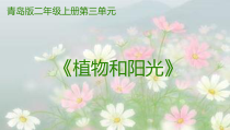【青岛版】二年级科学上册植物和阳光说课稿PPT课件