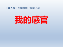 小学科学【冀人版】一年级上册2《我的感官》PPT课件3