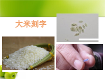 小学科学【冀人版】一年级上册3《放大镜》PPT课件(共10页)