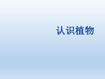 小学科学【冀人版】一年级上册5《认识植物》PPT课件
