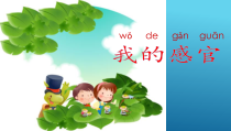小学科学【冀人版】一年级上册2《我的感官》PPT课件  (共9页)
