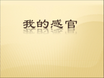 小学科学【冀人版】一年级上册2《我的感官》PPT课件(2)(共13页)
