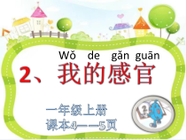 小学科学【冀人版】一年级上册2《我的感官》PPT课件(共15页)