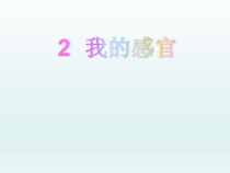 小学科学【冀人版】一年级上册2《我的感官》PPT课件1