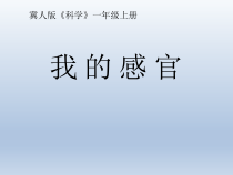 小学科学【冀人版】一年级上册2《我的感官》PPT课件5