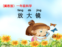 小学科学【冀人版】一年级上册3《放大镜》PPT课件(共21页)