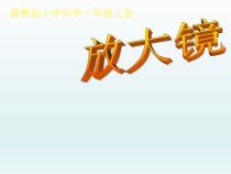 小学科学【冀人版】一年级上册3《放大镜》PPT课件