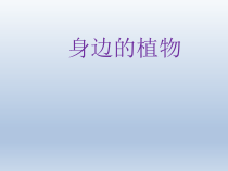 小学科学【冀人版】一年级上册4《身边的植物》PPT课件
