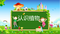 小学科学【冀人版】一年级上册5《 认识植物》PPT课件(共11页)