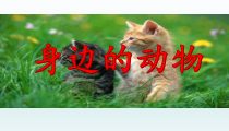 小学科学【冀人版】一年级上册7《身边的动物》PPT课件