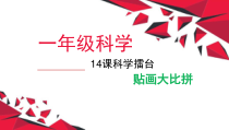 小学科学【冀人版】一年级上册14《科学擂台 贴画大比拼》PPT课件(共20页)
