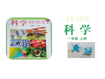 小学科学【冀人版】一年级上册10《动物的感官》课件+视频 (2份打包)